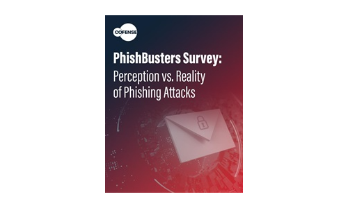 Phishbusters Survey：認識対フィッシング攻撃の現実